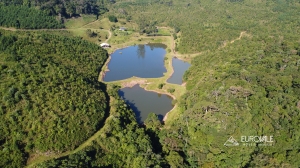  fazenda