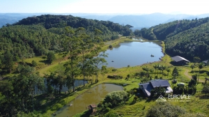  fazenda