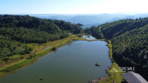  lago