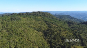  área