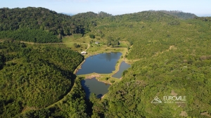  fazenda